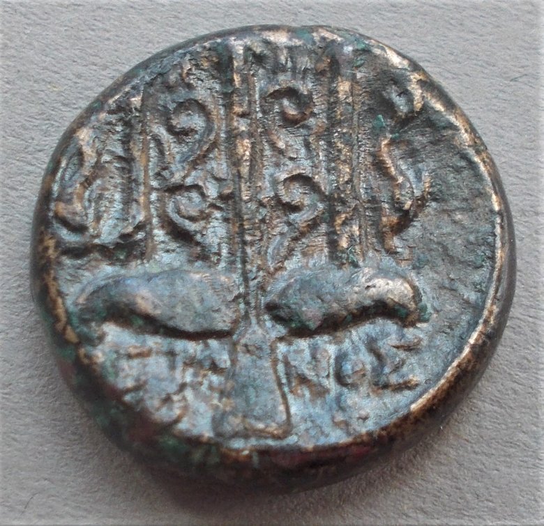 Greek-Bronze-Syracuse